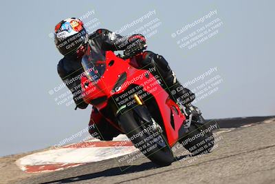 media/Oct-06-2025-2WTD (Mon) [[90522c3a0b]]/B Group/1120am (Grapevine)/